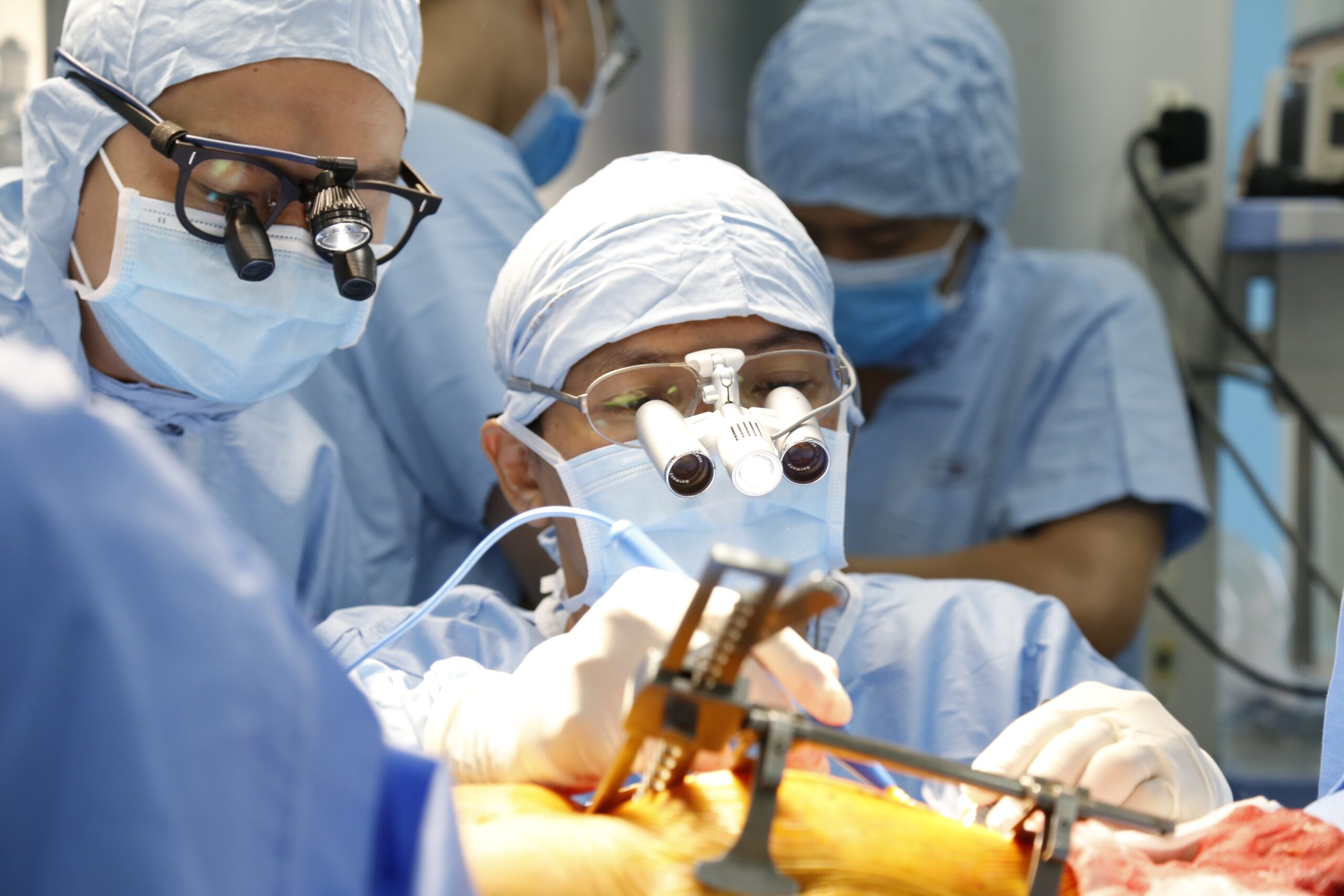 79e10a7e8b34446a1d25