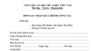 61c49f60 2f18 4691 974b b529c8b63c82