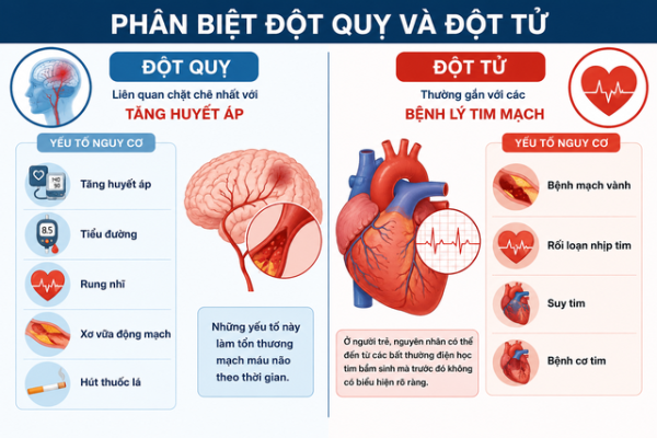 do hoa dot quy dot tu 1779634226130244294394