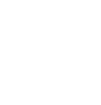 icon san nhi