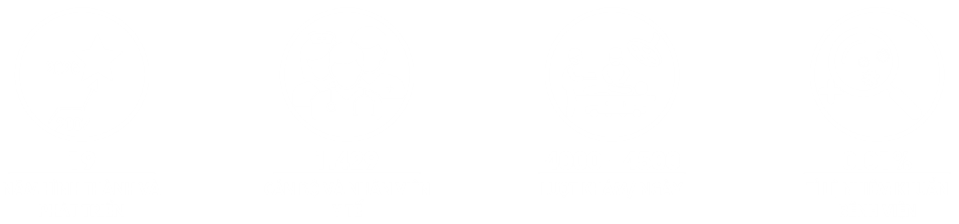 Website BV1