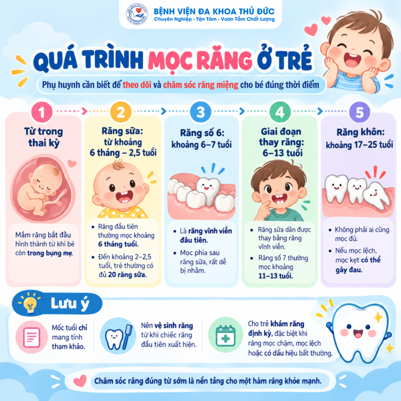 QUÁ TRÌNH MỌC RĂNG VÀ NHỮNG MỐC CHA MẸ CẦN BIẾT