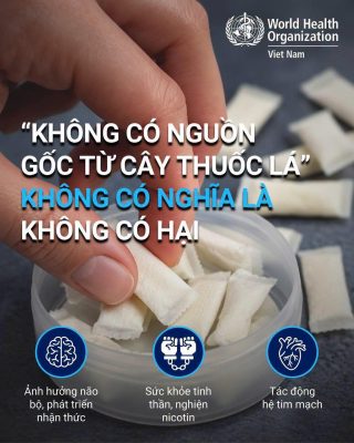 TÚI NGẬM NICOTIN